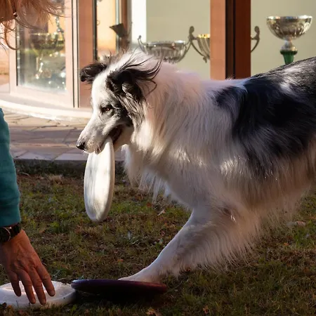 In Con Terrazza Vista Mare - Pet Friendly 公寓 *